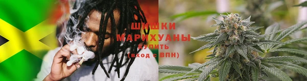 дмт Алзамай