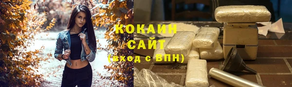 дмт Алзамай