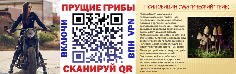 Галлюциногенные грибы Psilocybe Якутск